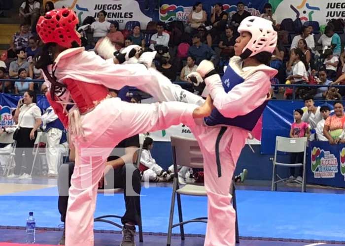 Foto: Más de 750 atletas de la disciplina de Taekwondo en Managua fortalecen sus técnicas / TN8 