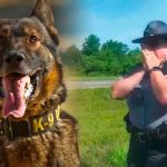 Policía ordenó a un perro atacar a un afroamericano