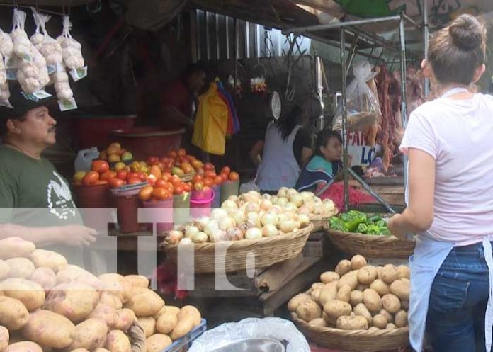 Foto: Productos de la canasta básica en mercados de Nicaragua / TN8