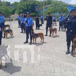 Foto: Graduación de técnica canina en Nicaragua / TN8