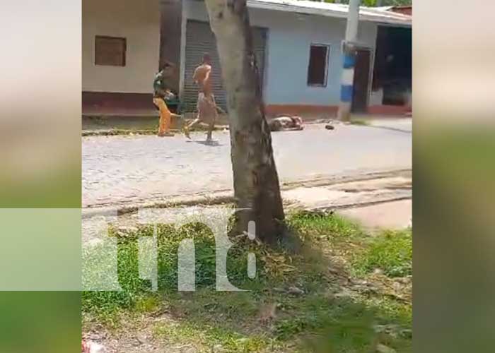 Foto: Se lo bajan de una pedrada por intentar abusar de una mujer en Waslala Matagalpa, el hecho se ha viralizado en las redes sociales / TN8