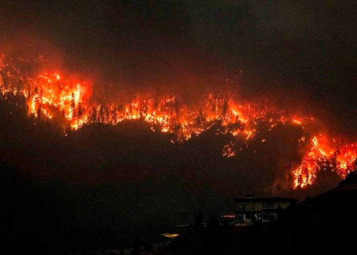 Foto: Columbia Británica en Llamas: Estado de Emergencia por Incendios / Cortesía