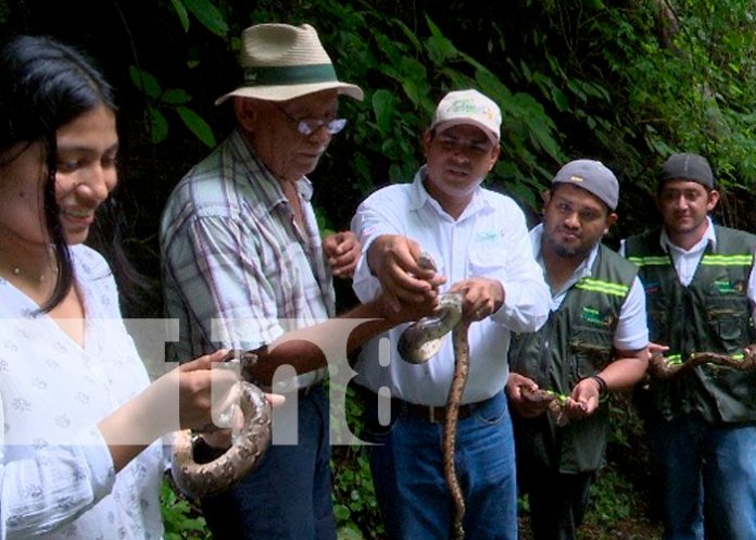 Reserva Palestina en Ticuantepe, el nuevo hogar de 159 especies rehabilitadas