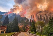 Cinco muertos y 10 heridos por incendio forestal en los Andes de Perú