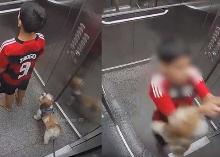 Viral: Niño de 11 años salva a su perrita de morir ahorcada en el ascensor