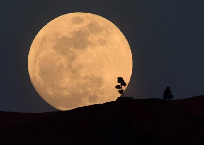 Foto: Superluna de Esturión: ¿Hora de visualización? / Cortesía