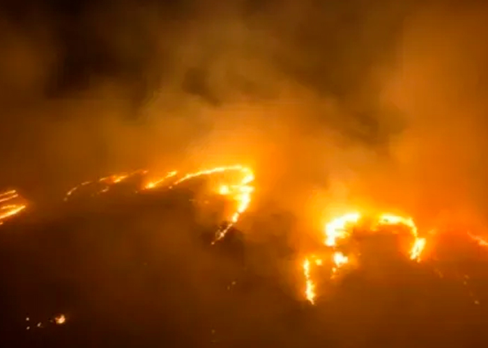 Fotos: A 67 sube la cifra de muertos causados por incendios forestales en Hawai /Cortesía 