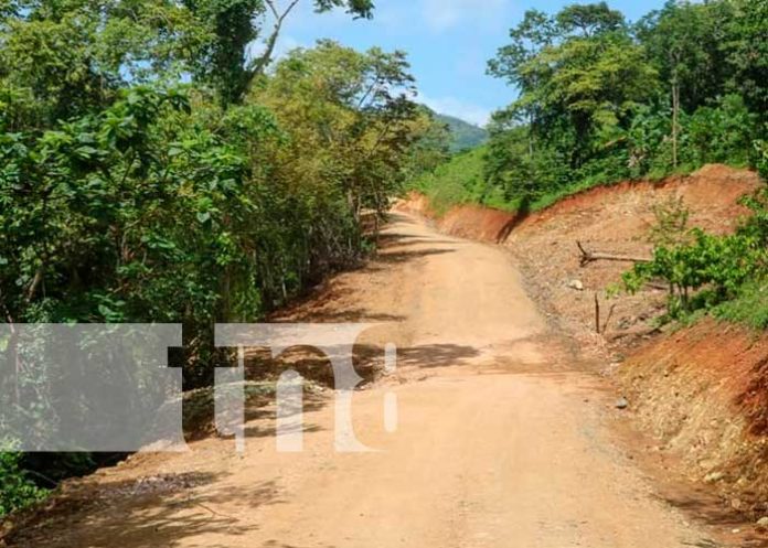 Foto: En el Caribe el Gobierno Municipal de Siuna hizo una inversión de 1 millón 600 mil córdobas en la reparación de 3.2 km de carretera/TN8