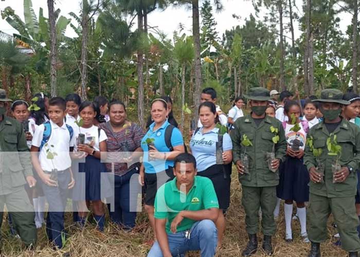 Nicaragua refuerza seguridad y ambiente con acciones del Batallón Ecológico Bosawás