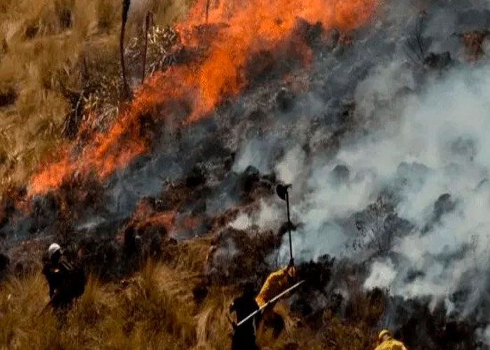 Cinco muertos y 10 heridos por incendio forestal en los Andes de Perú