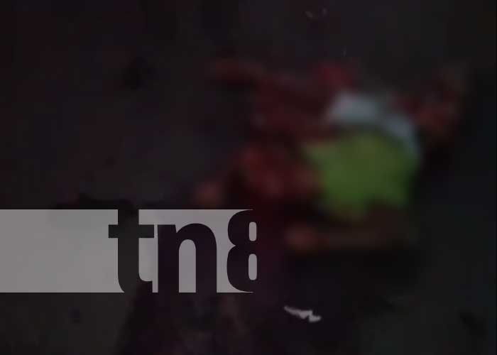 Foto: "Al modo destino final" Sujeto muere tras ser aplastado por una rastra en Linda vista / TN8