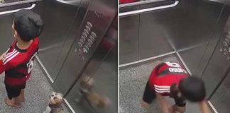 Viral: Niño de 11 años salva a su perrita de morir ahorcada en el ascensor