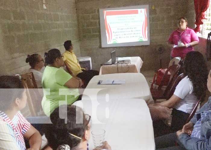 Foto: Intercambio de experiencias de cooperativas nandaimeñas con coordinación del MEFCA/ Tn8