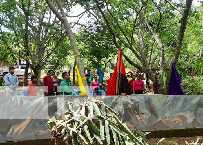 Un nuevo zoo criadero de garrobos negros fue inaugurado en Nandaime