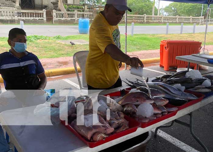 Foto:Familias degustaron de riquísimos platillos en la Feria del Mar / TN8