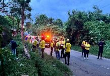 Foto: Un camión cayó en un barranco dejando cinco muertos en Jucuapa/Cortesía