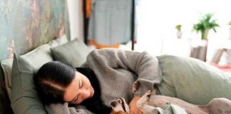 Foto: Estudio indica que no es "recomendable" dejar dormir a los perros en la cama; así lo afirman algunos expertos al realizar una investigación / Cortesía
