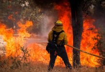 Incendios forestales en Hawái provocan evacuaciones masivas