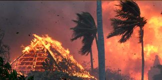Fotos: A 67 sube la cifra de muertos causados por incendios forestales en Hawai /Cortesía