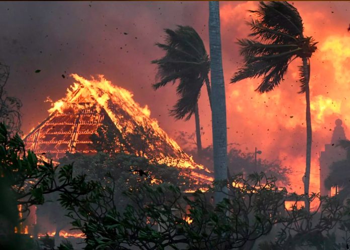 Fotos: A 67 sube la cifra de muertos causados por incendios forestales en Hawai /Cortesía