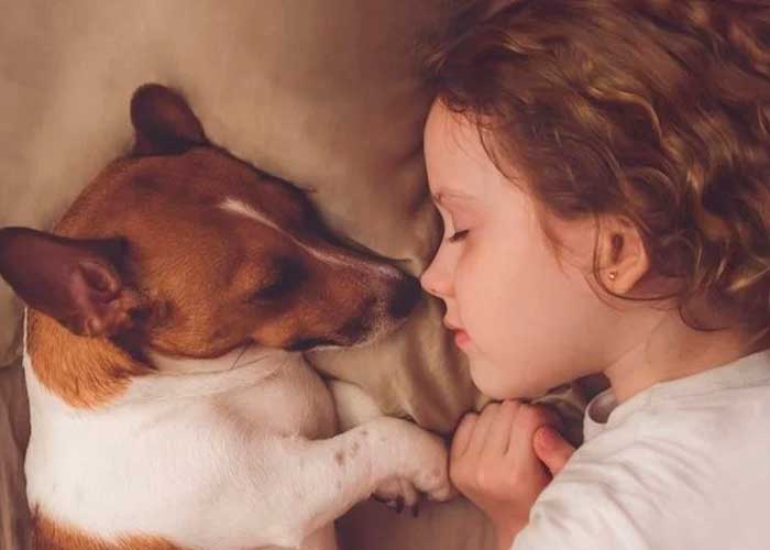 Foto: Estudio indica que no es "recomendable" dejar dormir a los perros en la cama; así lo afirman algunos expertos al realizar una investigación / Cortesía 