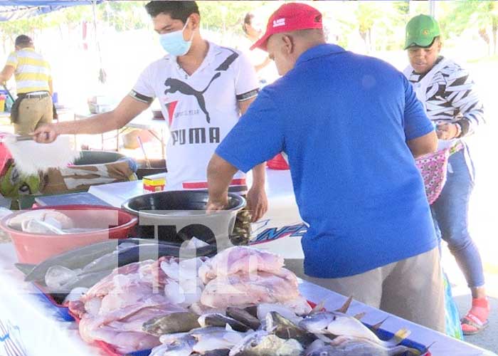 Foto: INPESCA realizó la Feria del Mar en la Plaza Soberanía en Managua, con el objetivo de brindar a las familias un poquito del mar en Managua / TN8