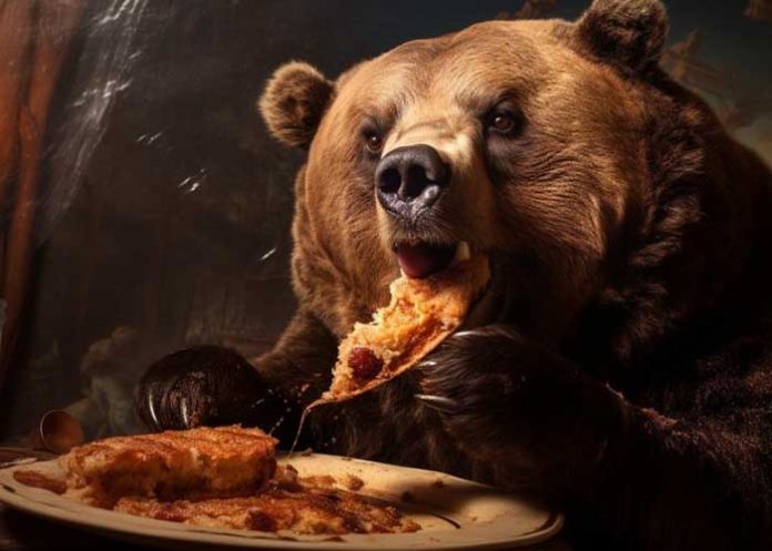 Foto: ¡Comelón! Un oso entra a una panadería y devora 125 empanadas, dejando con la boca abierta a las empleadas del lugar al ver la hazaña / Cortesía.