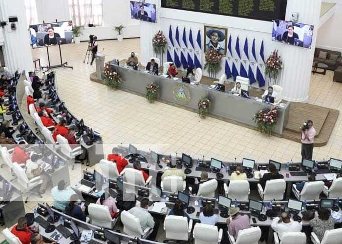 Foto: Sesión parlamentaria en la Asamblea Nacional / TN8