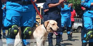 Foto: Curso de rescate con perros para los bomberos de Nicaragua / TN8