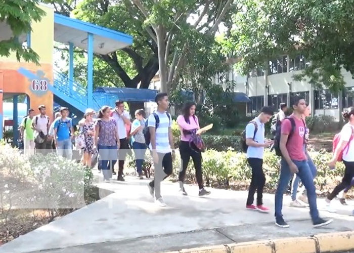 Foto: Estudiantes universitarios opinan sobre creación de Universidad Casimiro Sotelo / TN8