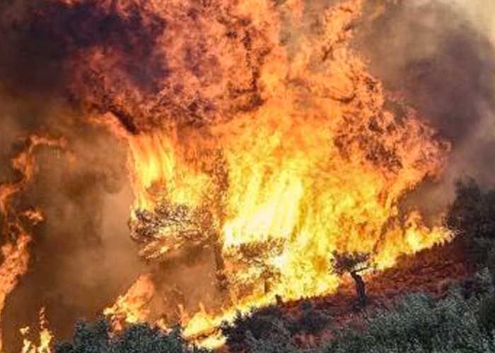 Veinte muertos en una nueva ola de incendios en Grecia