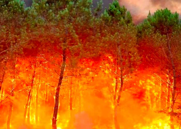 Dantesco incendio forestal en Francia