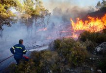 Veinte muertos en una nueva ola de incendios en Grecia