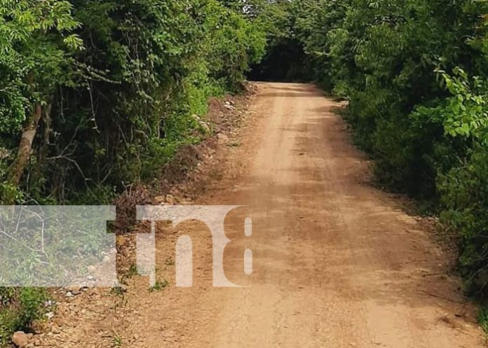 Foto: Mejores caminos en zonas rurales de Jinotega / TN8