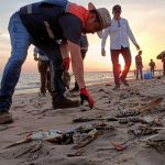 Foto: Peces muertos en playa de México