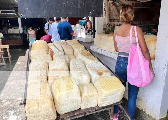 Foto: Derivados del lácteo a buenos precios en mercados de Managua / TN8