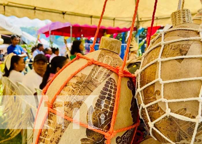 Foto: “Feria del maíz Xilonem” tradición cultural de los pueblos originarios en Totogalpa / TN8
