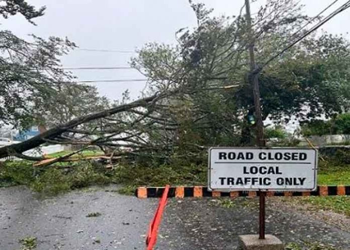 Foto: Regiones de EE.UU y Canadá son afectados por la tormenta Lee/Cortesía