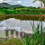 Foto: Cosecha de Agua: Transformando la vida en el Norte de Nicaragua / TN8