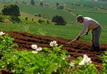 Foto: "Innovación y Tecnología: Claves del éxito Agropecuario en Nicaragua" / TN8