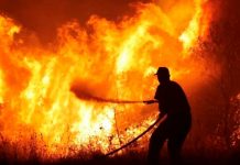 25 migrantes atrapados en el incendio forestal en Grecia son rescatados