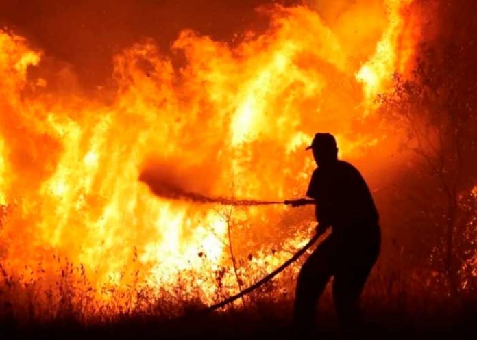 25 migrantes atrapados en el incendio forestal en Grecia son rescatados