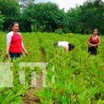 Fotos: Diversificación de Cultivos: Clave para la resiliencia agrícola y la seguridad alimentaria / TN8