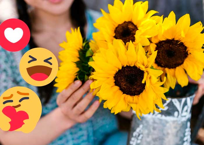 ¿Lo sabías? El significado de regalar flores amarillas en septiembre