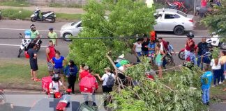 Foto: Peatón muere tras ser impactado por un carro en Pista Suburbana / TN8