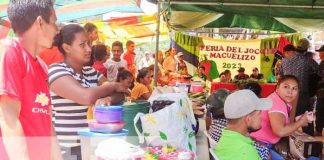 Feria dedicada al Jocote en Nueva Segovia