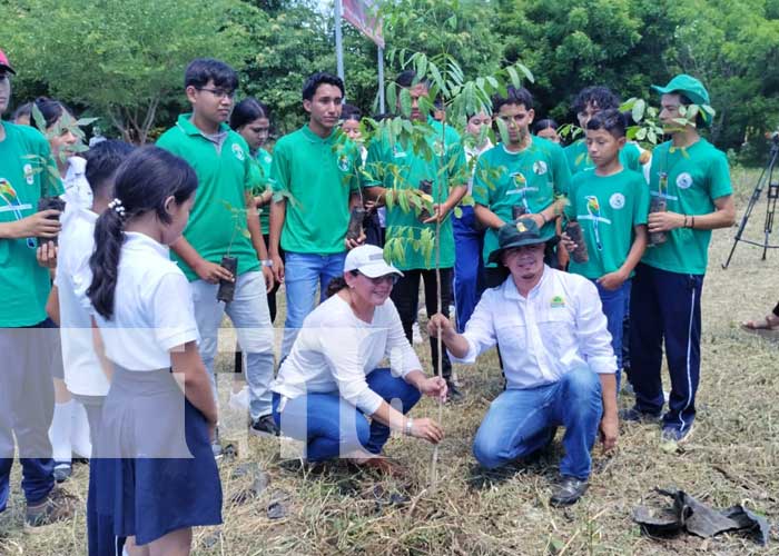 Foto: Nuevo arboretum en Tipitapa, para una Nicaragua más verde / TN8