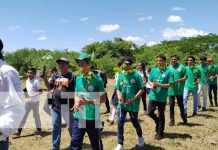 Foto: Nuevo arboretum en Tipitapa, para una Nicaragua más verde / TN8