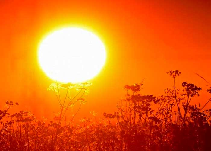 ONU alerta "olas de calor generan contaminantes"