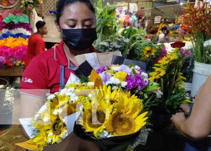 Foto: La tendencia de las flores amarillas llega a mercados de Nicaragua / TN8